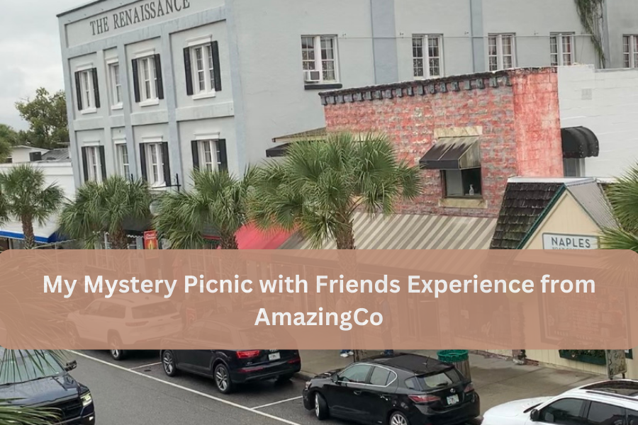 My Mystery Picnic with Friends Experience from AmazingCo - Exploring ...